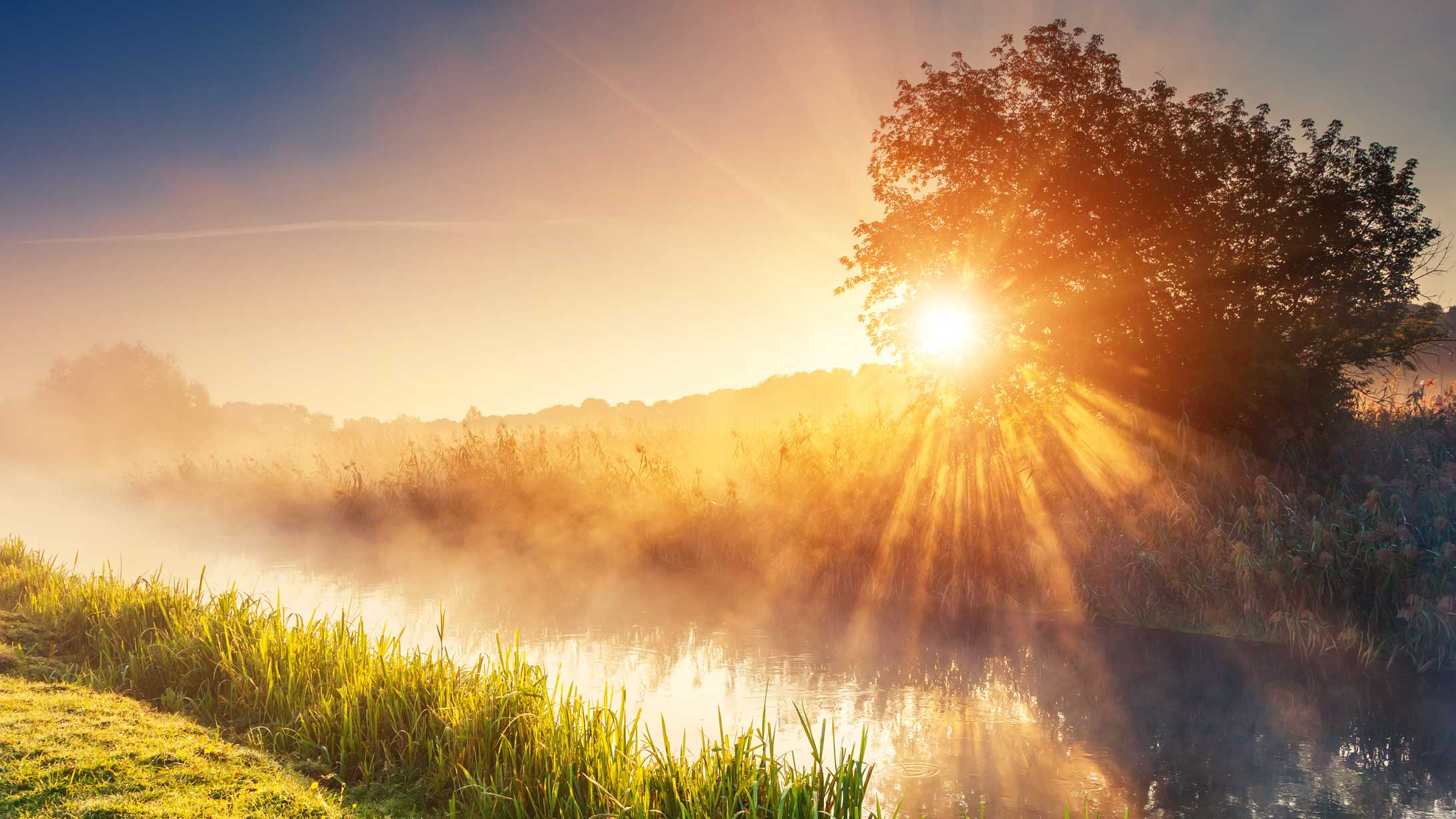 Das Bild zeigt einen Sonnenaufgang über einem Bach.