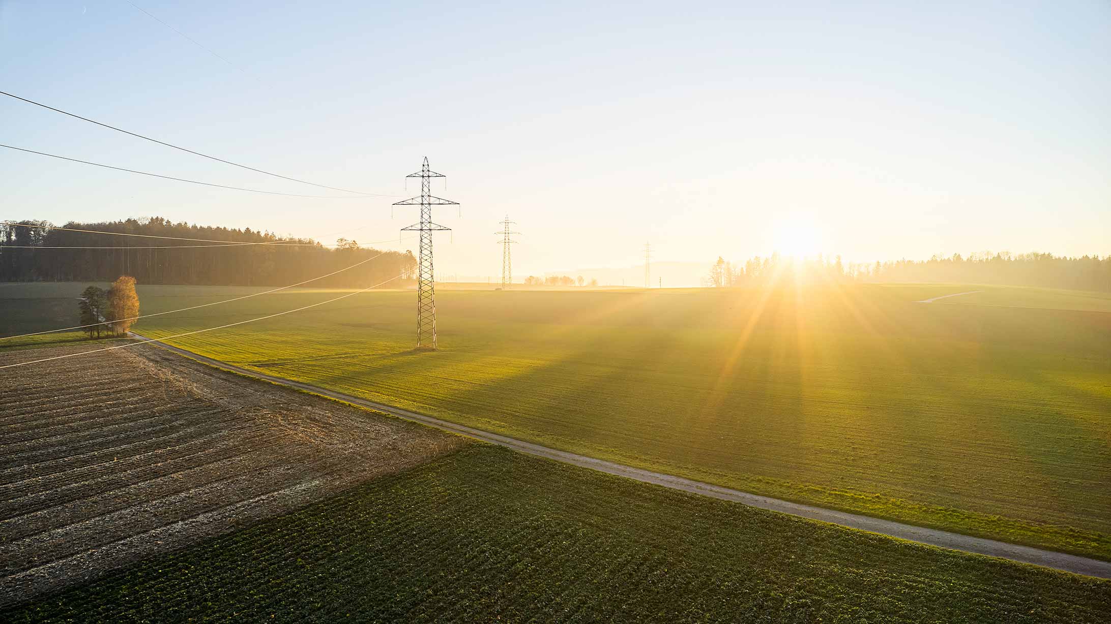 Felder und Strommasten im Sonnenschein.