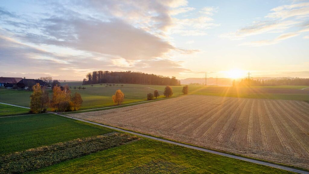 Felder und Strommasten bei Sonnenuntergang.