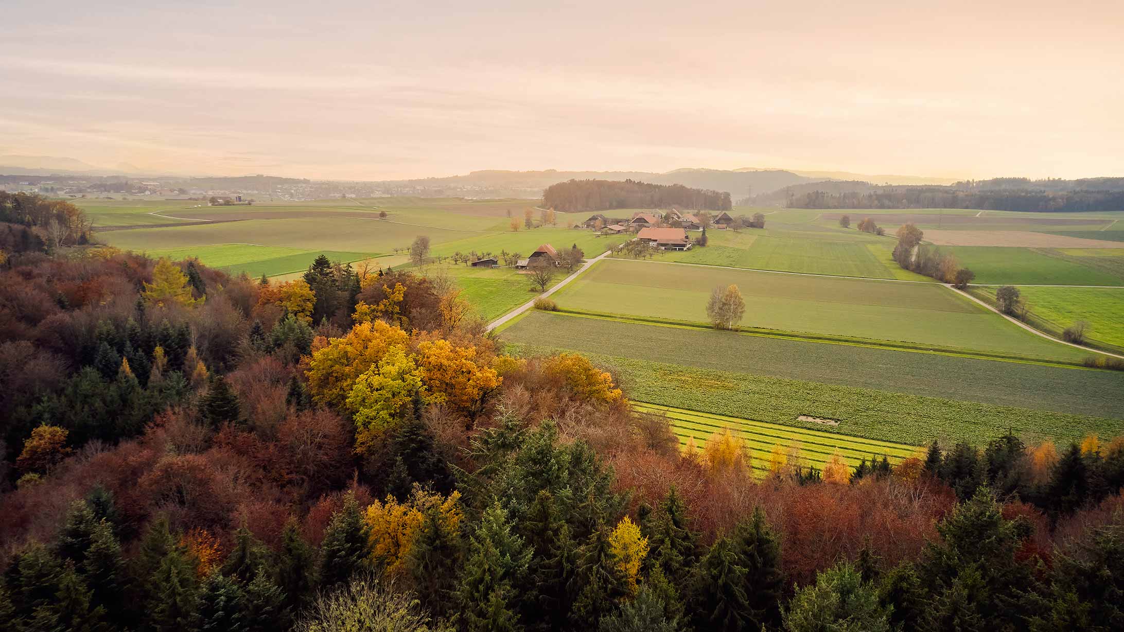 Landschaft mit Wald