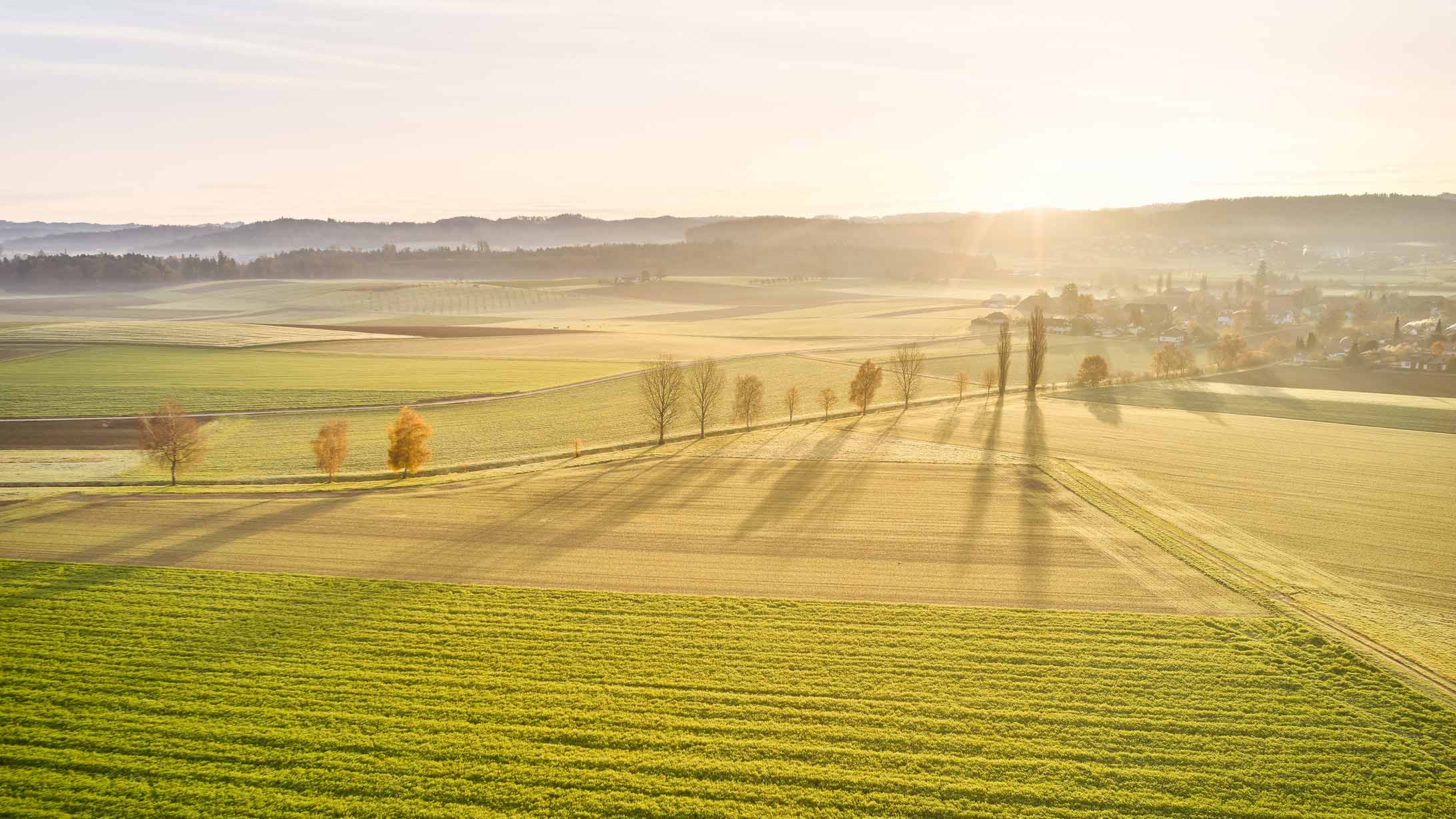 Felder und Wälder bei Sonnenschein.