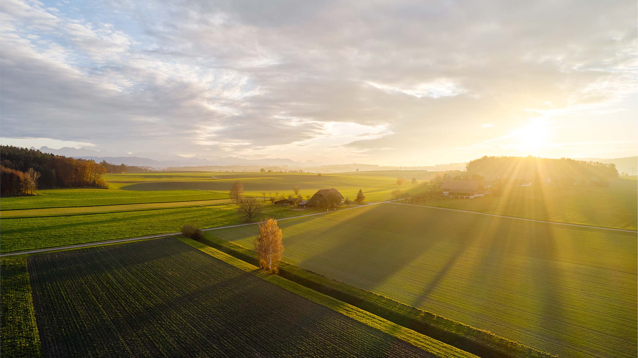 Felder bei Sonnenuntergang.