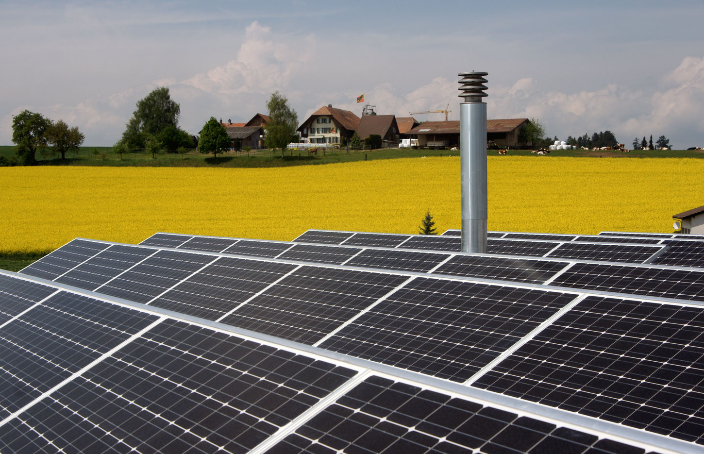 Freistehender Photovoltaik-Anlage inmitten eines Rapsfeldes