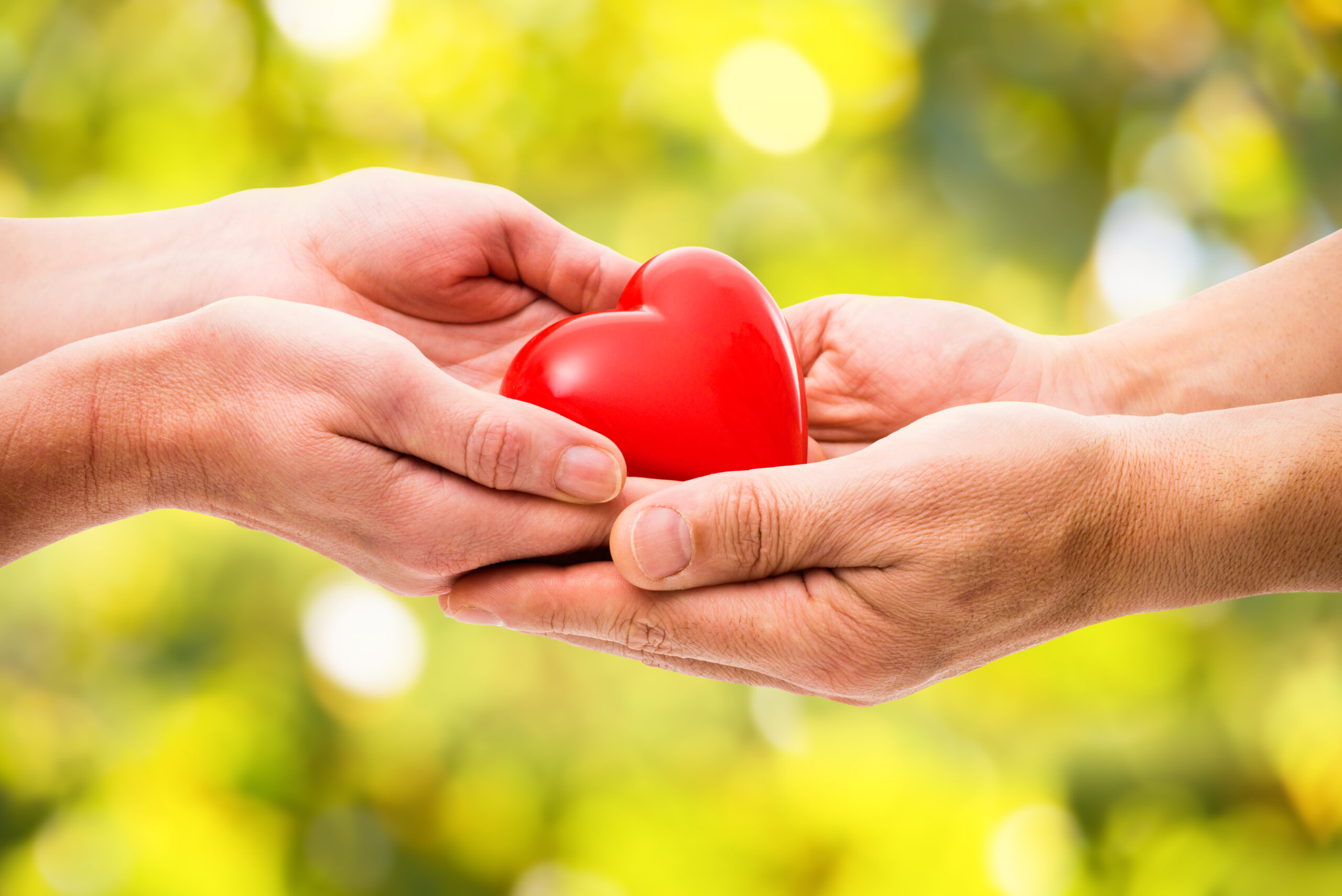 Ein rotes Herz wird von einer Hand in die nächste überreicht. Sichtbar sind nur die beiden Hände und das Herz.