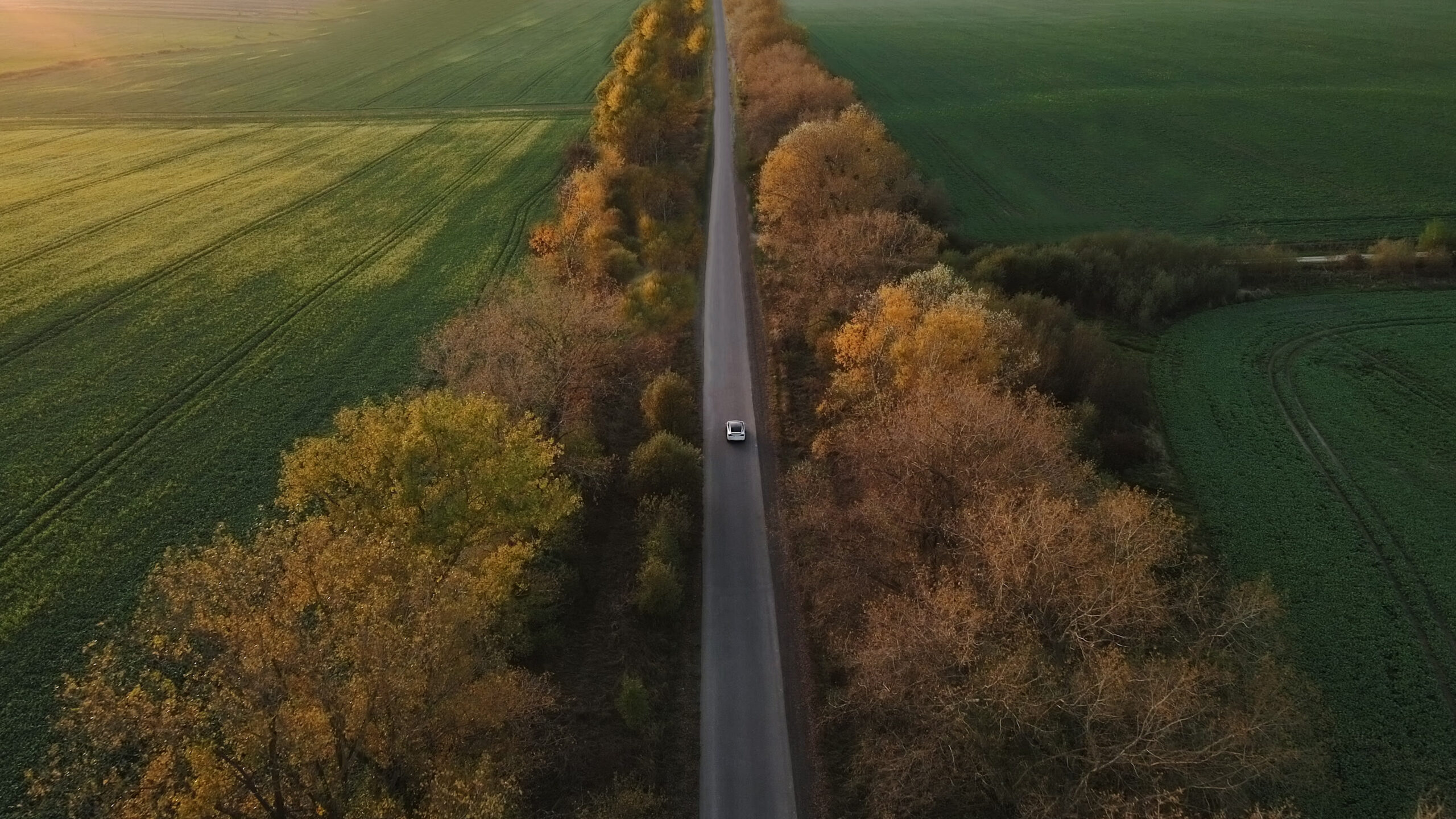 Eine Grossaufnahme von oben zeigt ein Elektroauto, das durch eine idyllische Landschaft mit Feldern und einer Baumallee fährt.